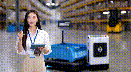 d163e2a5-4428-42bb-8489-a67599d7f75d